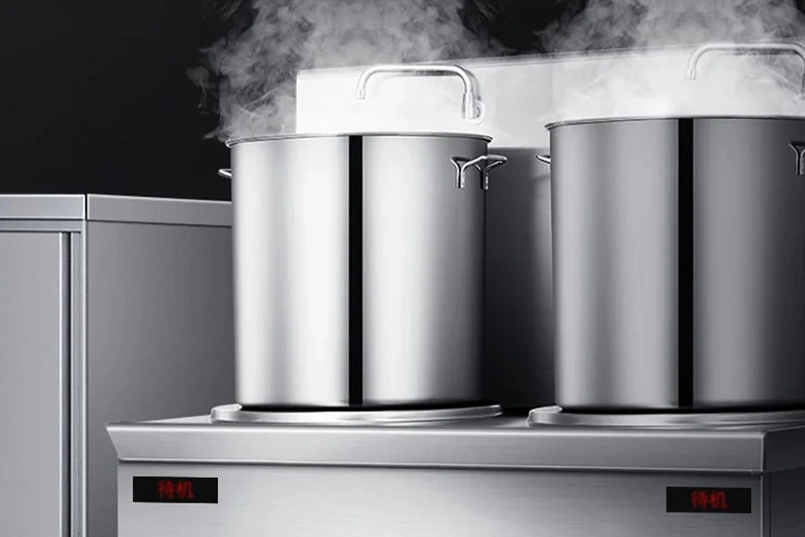 Commercial stock pot cooker with dual burners