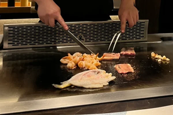 High-performance commercial teppanyaki equipment for efficient and versatile cooking solutions