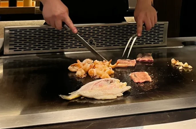 High-performance commercial teppanyaki equipment for efficient and versatile cooking solutions
